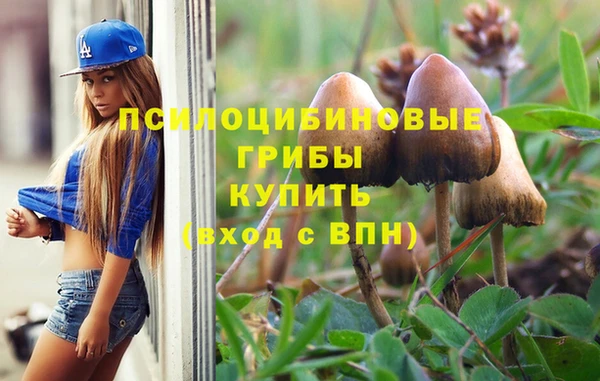 прущая мука Аркадак