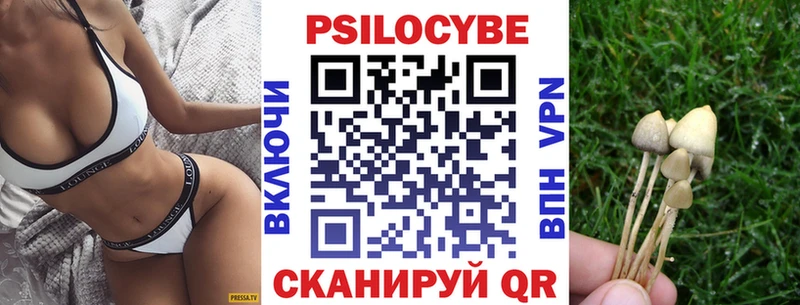 Галлюциногенные грибы Psilocybine cubensis  Рославль 